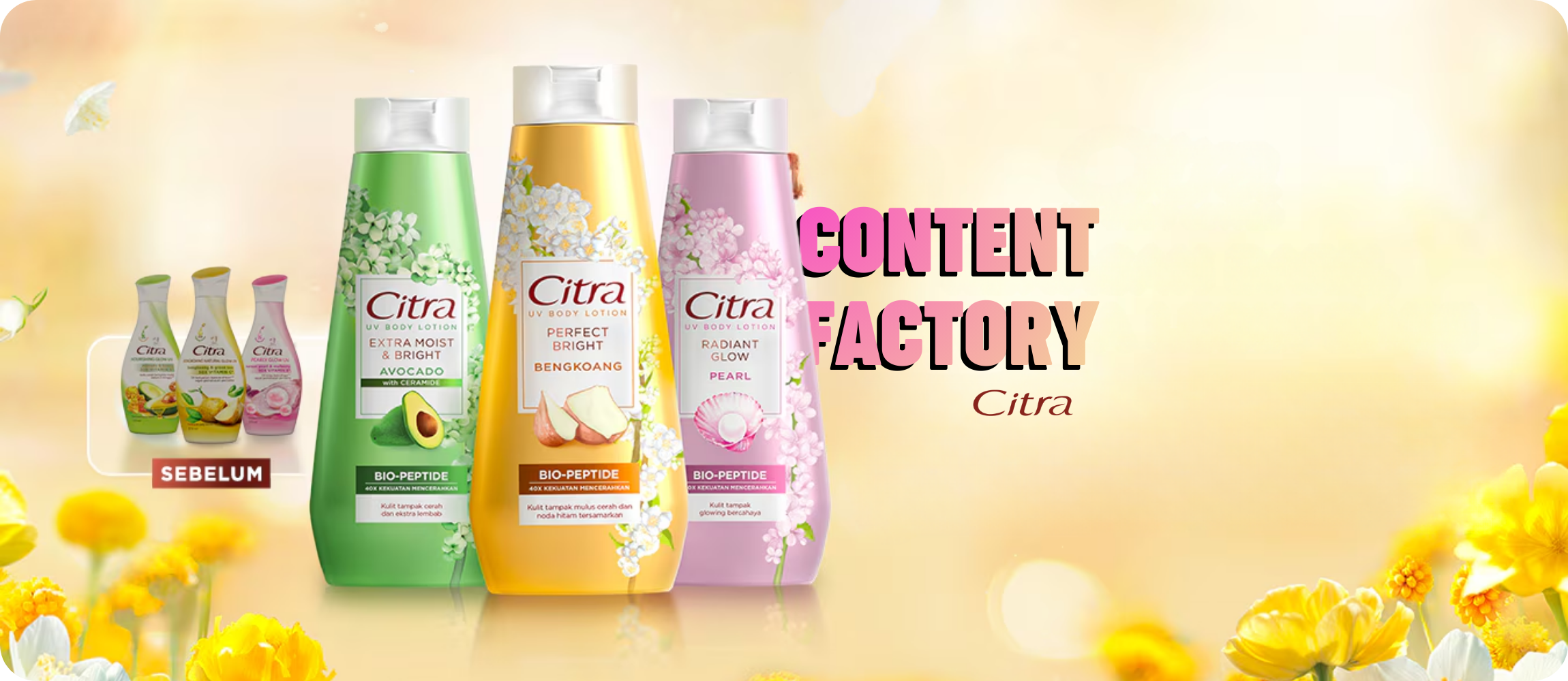 Citra – Content Factory